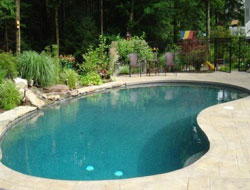 Bean Shaped Pool Manufacturer in Kanpur