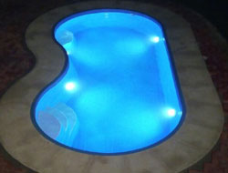 Bean Shaped Pool Manufacturer in Kanpur