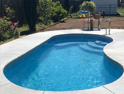 Kidney Shaped Swimming Pools Manufacturer in Kanpur